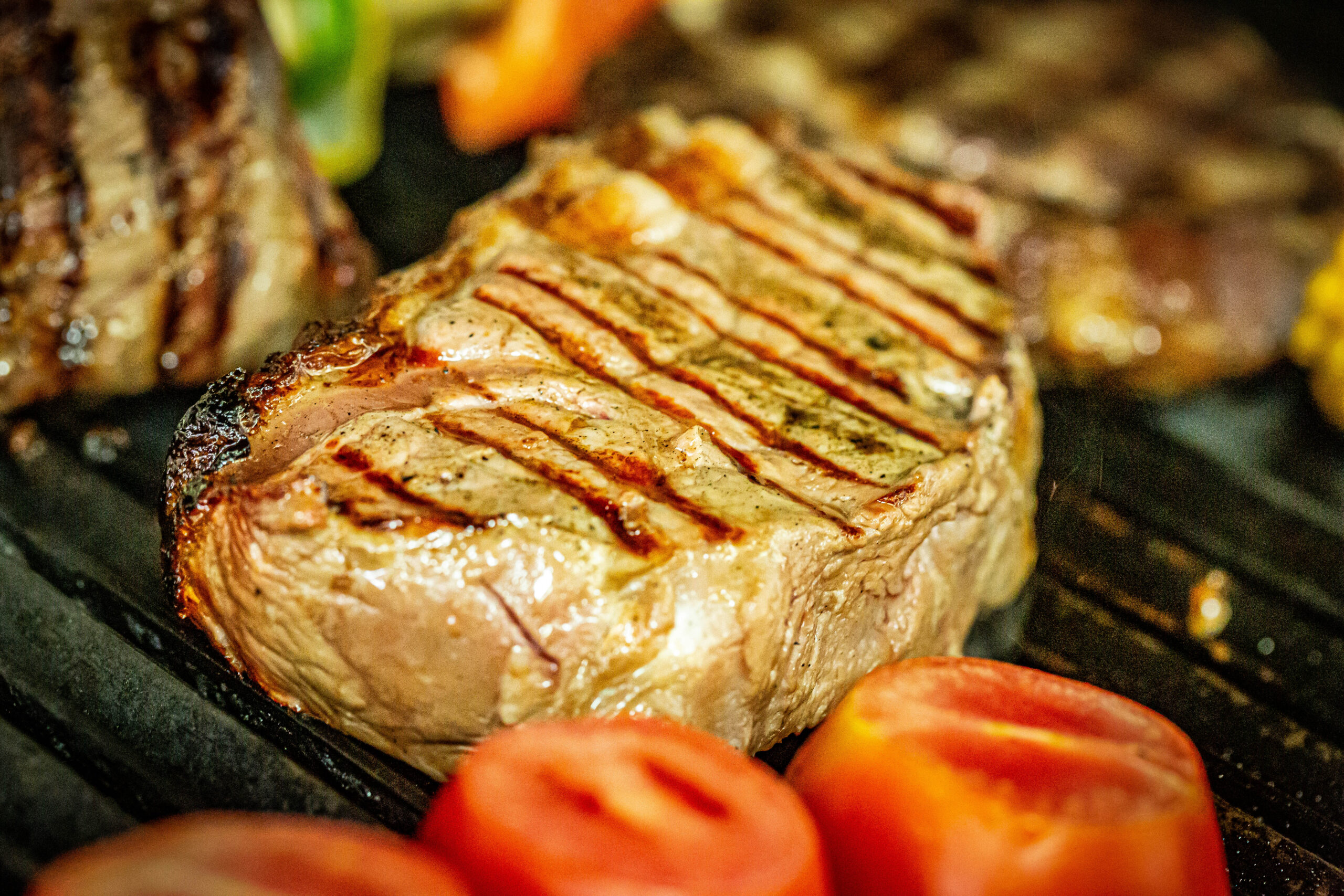 _A1A9846-3 white fox sitting on snow during daytime